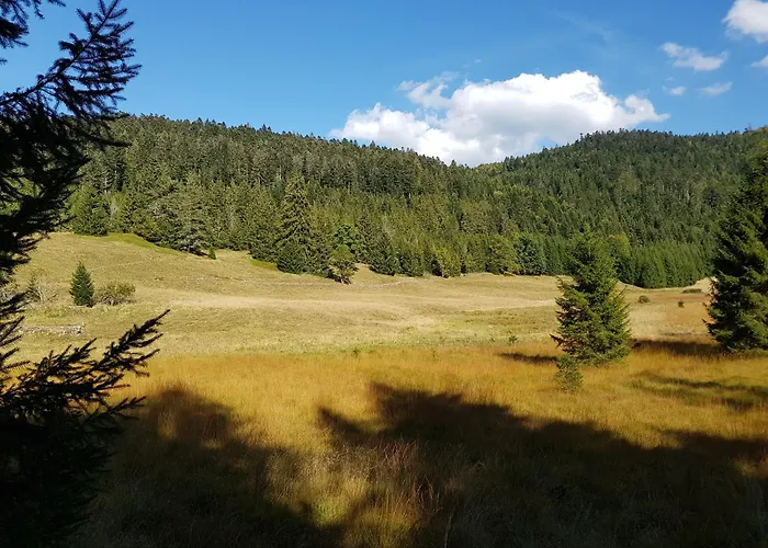 Chalet Biazot