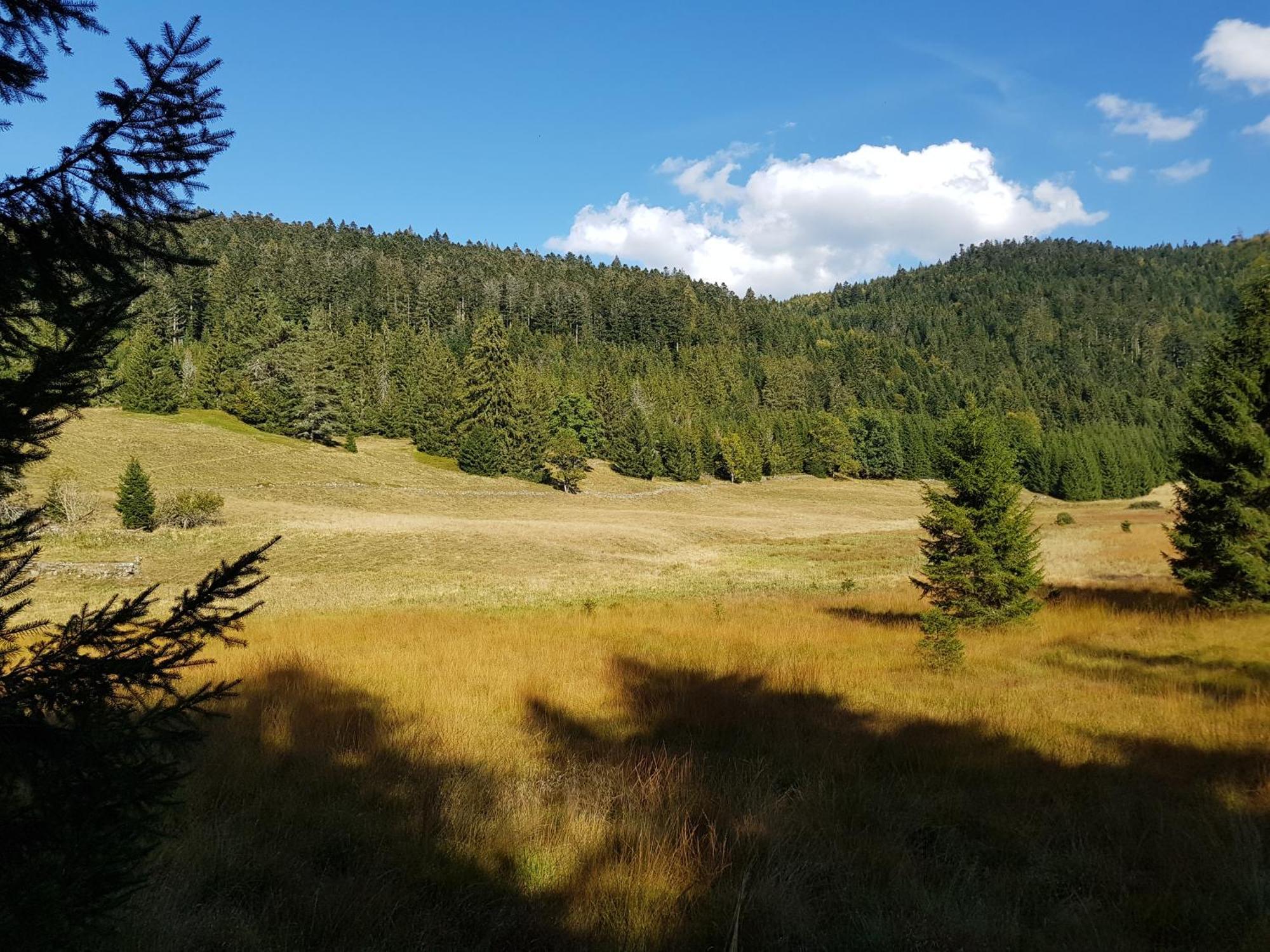 Chalet Biazot Xonrupt-Longemer